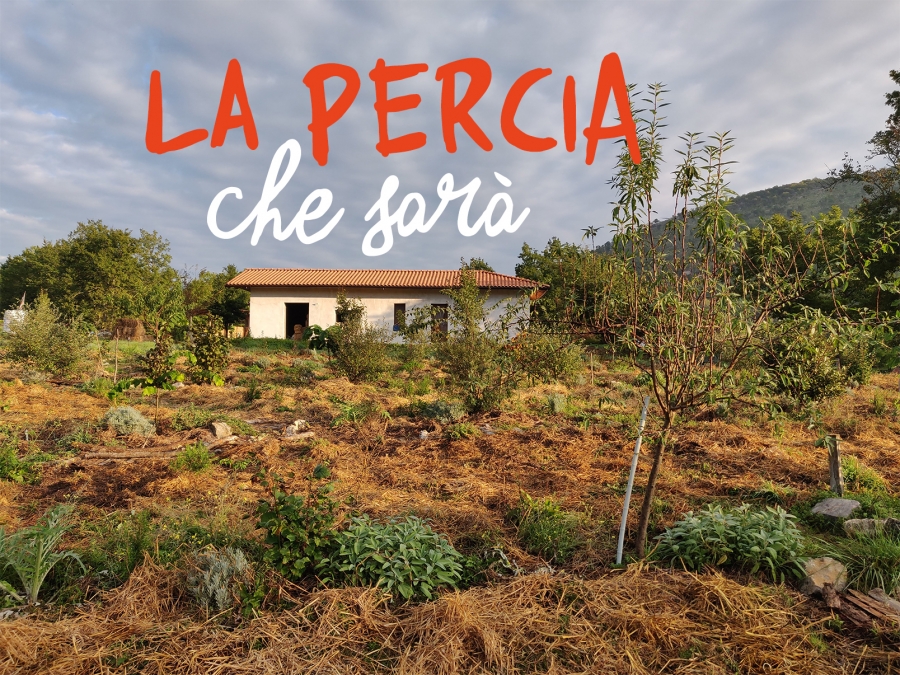 La Percia che sarà