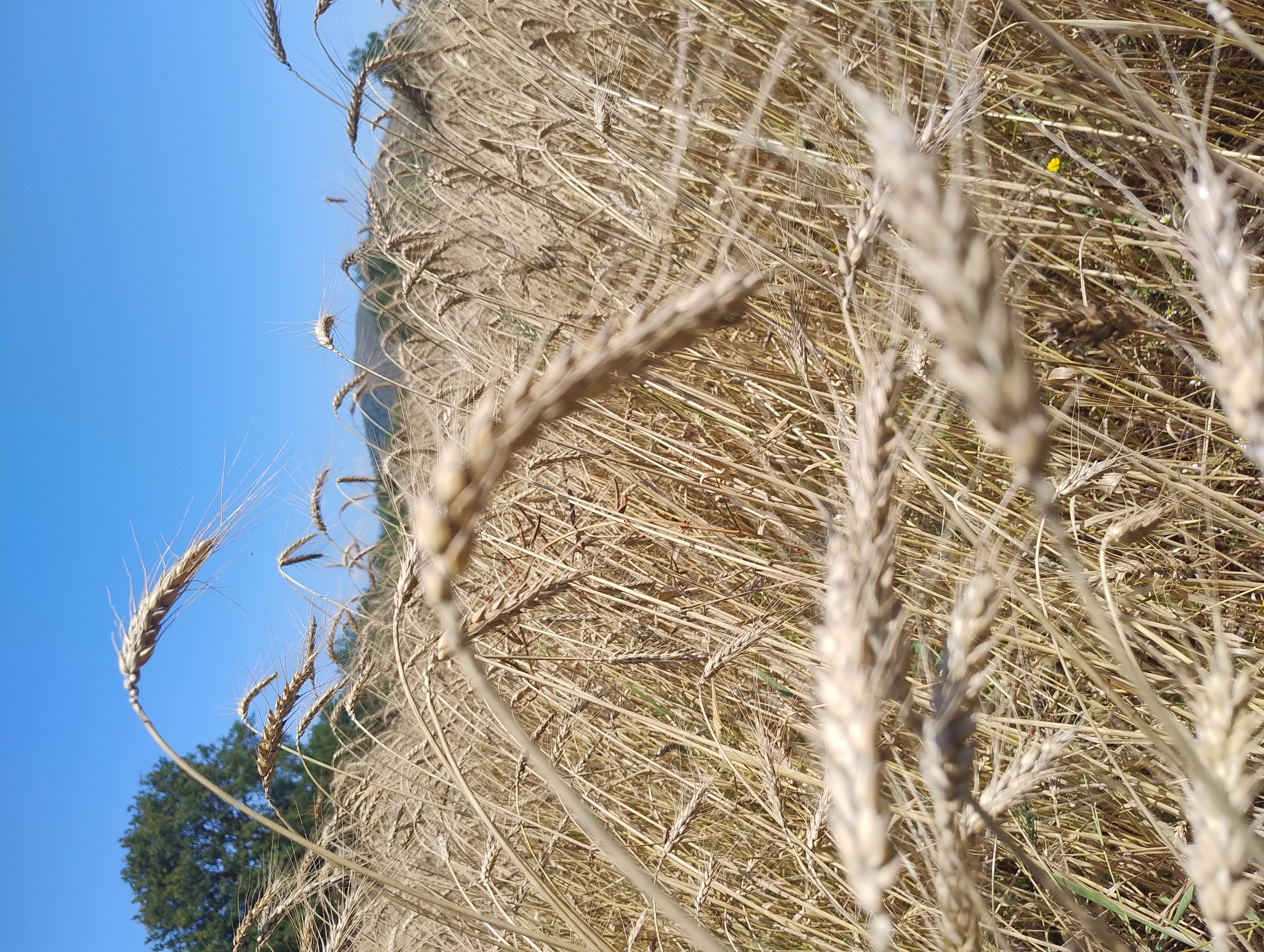 Azienda Agricola