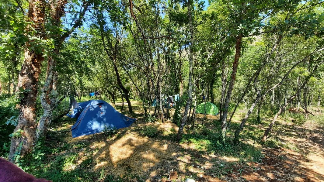 Zona Camping e Sosta Camper