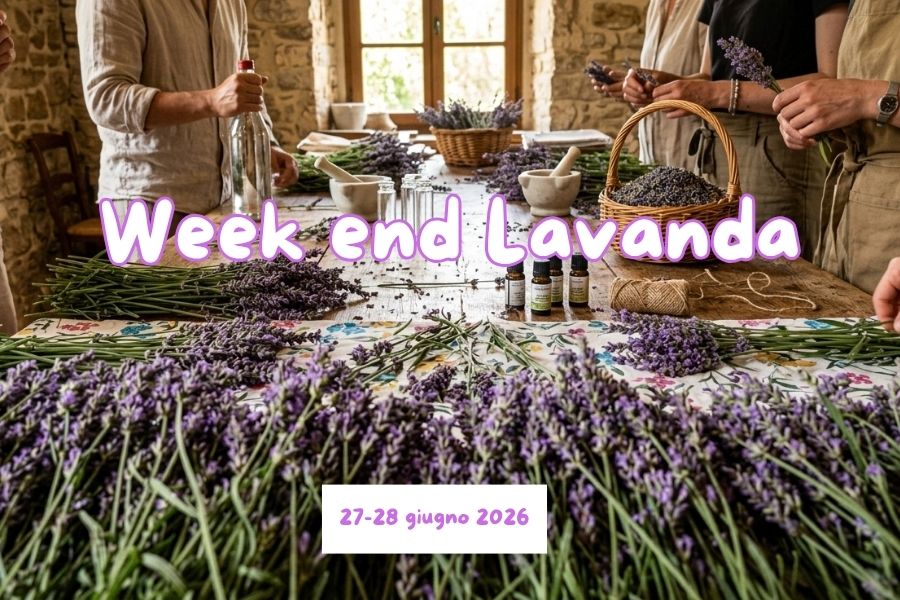 Il benessere della Lavanda: unisciti a noi per un fine settimana di natura e sapori autentici